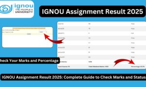 IGNOU Assignment Result 2025: Complete Guide to Check Marks and Status